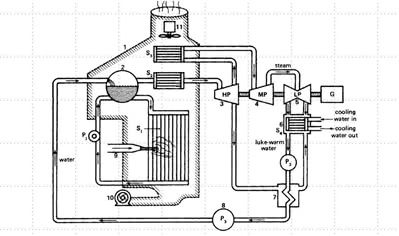 Principal Components of a Thermal Power Plant